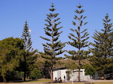 Kurrawa Park - Northern Rivers Accommodation 0