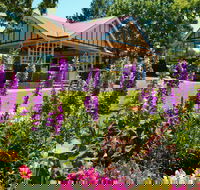 Laurel Bank Park - Northern Rivers Accommodation