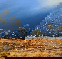 Lyn Barnes Gallery - Northern Rivers Accommodation