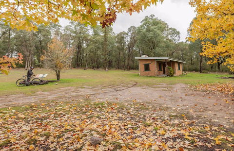 Major Clews Hut Walking Track - Northern Rivers Accommodation 0
