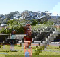 Maryboroughs Bollards - Northern Rivers Accommodation