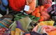 Market In The Mountains, Stanthorpe - thumb 0