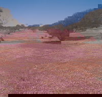 Meekatharra - Northern Rivers Accommodation
