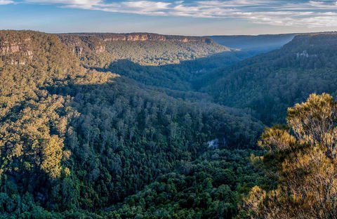 Missingham Lookout Track - Northern Rivers Accommodation 0