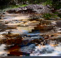 Mothar Mountain Rockpools - Northern Rivers Accommodation