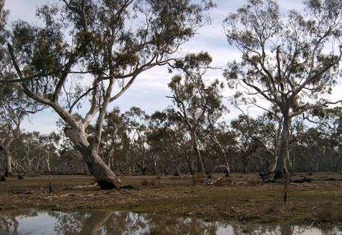 Murchison Rail Trail - Northern Rivers Accommodation 1