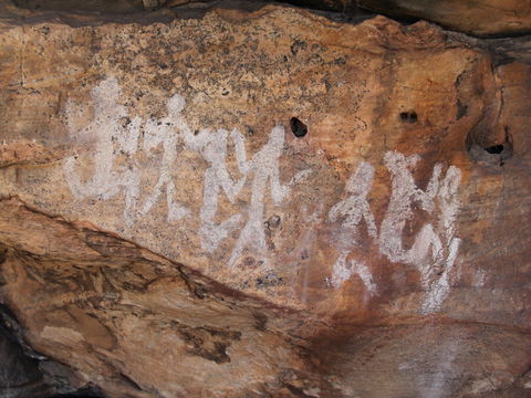 Ngamadjidj Shelter - Wartook Valley - Northern Rivers Accommodation 0