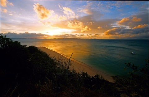 North Keppel Island Hilltop Trail - Northern Rivers Accommodation 0