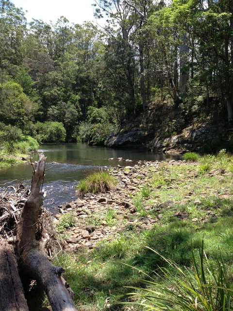 Numinbah Valley Adventure  Camping - Northern Rivers Accommodation 1
