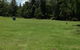 Numinbah Valley Adventure  Camping - thumb 2
