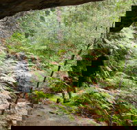 Old Great North Road Bike Ride - Northern Rivers Accommodation