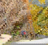 Old Great North Road - World Heritage Walk - Northern Rivers Accommodation
