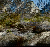 Pallaibo walking track - Northern Rivers Accommodation