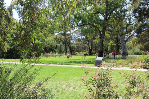 Parkville Heritage Walks - Northern Rivers Accommodation 2