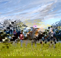 Port Macquarie Horse Riding Centre - Northern Rivers Accommodation