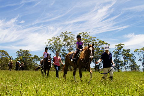 Port Macquarie Horse Riding Centre - Northern Rivers Accommodation 0