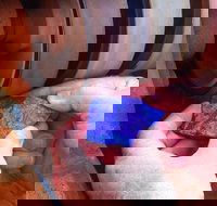 Quilpie Opal Fossicking - Northern Rivers Accommodation