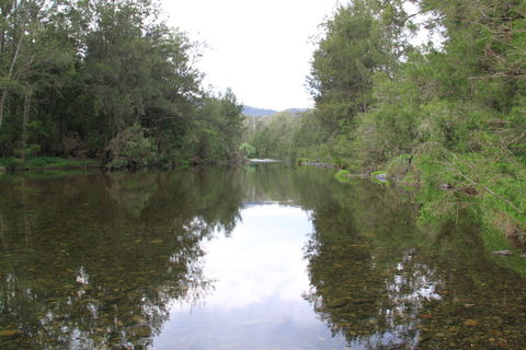 Riverside Campground And Picnic Area - Northern Rivers Accommodation 0