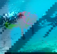 Shellharbour Scuba  and Photography Centre - Northern Rivers Accommodation