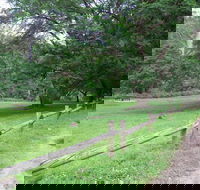 St Albans Reserve - Northern Rivers Accommodation