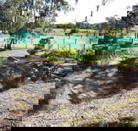 Tactical Paintball Games - Northern Rivers Accommodation