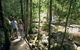The Pioneer Valley And Eungella National Park - thumb 1