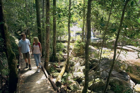 The Pioneer Valley And Eungella National Park - Northern Rivers Accommodation 1