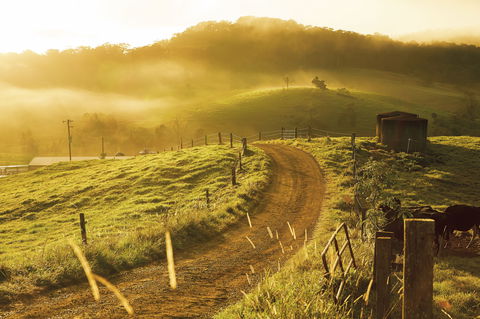 The Pioneer Valley And Eungella National Park - Northern Rivers Accommodation 2