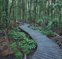 The Channon Protesters Falls Nimbin and Mount Nardi - Northern Rivers Accommodation