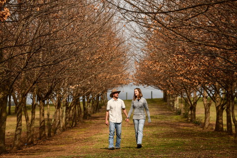 The Truffledore - Northern Rivers Accommodation 1