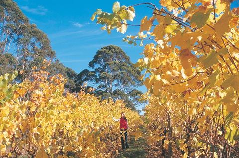 The Great Southern Drive - Northern Rivers Accommodation 1