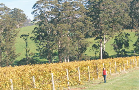 The Great Southern Drive - Northern Rivers Accommodation 2