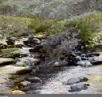 Thredbo River Track - Northern Rivers Accommodation