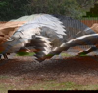 Underwater Marine Sculptures - Northern Rivers Accommodation