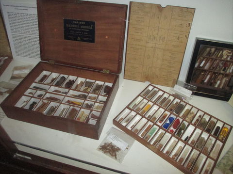 UQ Marks-Hirschfeld Museum Of Medical History - Northern Rivers Accommodation 0