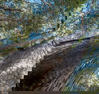 Wallumatta Nature Reserve - Northern Rivers Accommodation