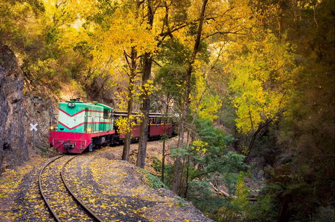 Walhalla Goldfields Railway - Northern Rivers Accommodation 2