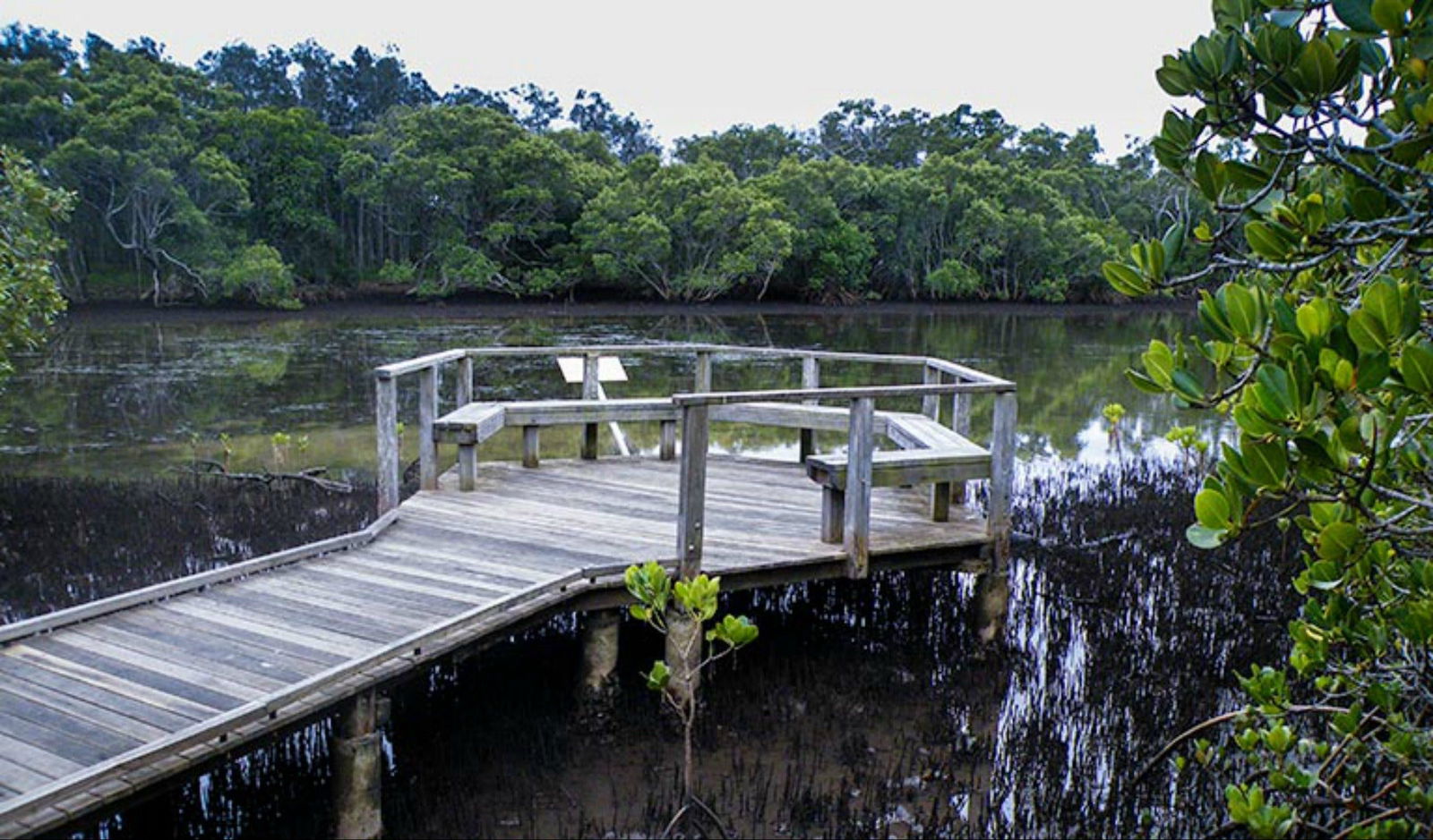 Tweed Heads South NSW Northern Rivers Accommodation