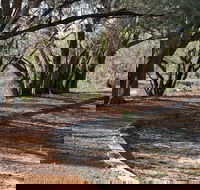 Warrego Floodplain walking track - Northern Rivers Accommodation