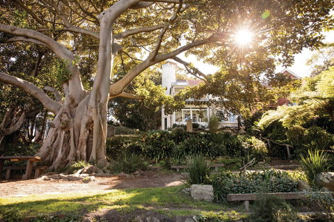 Wendy Whiteley's Secret Garden - Northern Rivers Accommodation 0