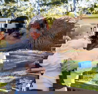 White Ridge Farm - Northern Rivers Accommodation