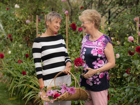 White Cottage - Northern Rivers Accommodation 0