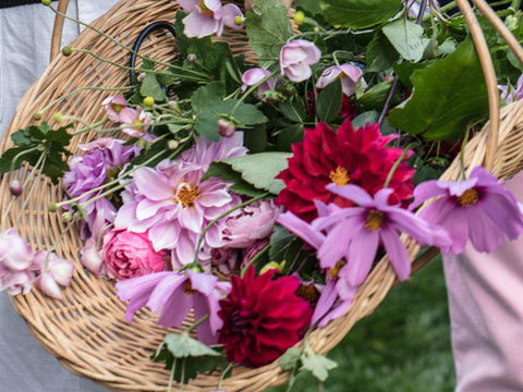 White Cottage - Northern Rivers Accommodation 2