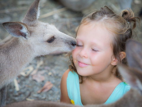 Wildlife Habitat - Northern Rivers Accommodation 1