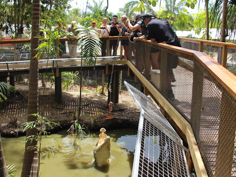 Wildlife Habitat - Northern Rivers Accommodation 2