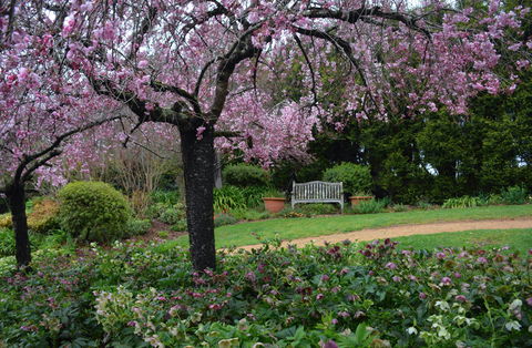 Wildwood Garden - Northern Rivers Accommodation 2