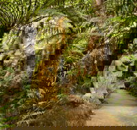 William Ricketts Sanctuary - Northern Rivers Accommodation