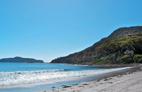 Yacaaba Headland Walking Track - Northern Rivers Accommodation 0