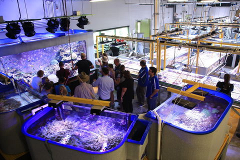 Australian Institute Of Marine Science - Northern Rivers Accommodation 0