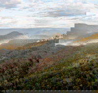 Badgerys Spur Walking Track - Northern Rivers Accommodation
